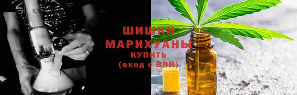 индика Дмитров