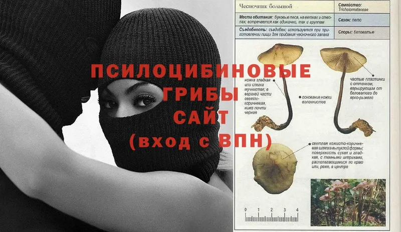 Галлюциногенные грибы мухоморы  Шахунья 